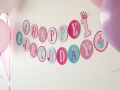 princess-1st-birthday-banner-disney-photo-450x400-fs-img_9477